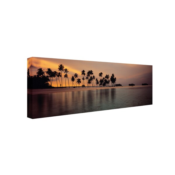 David Evans 'Afterglow' Canvas Art,8x24